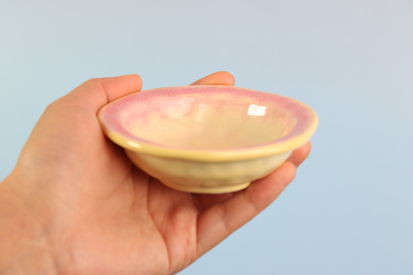Small Pink Dish