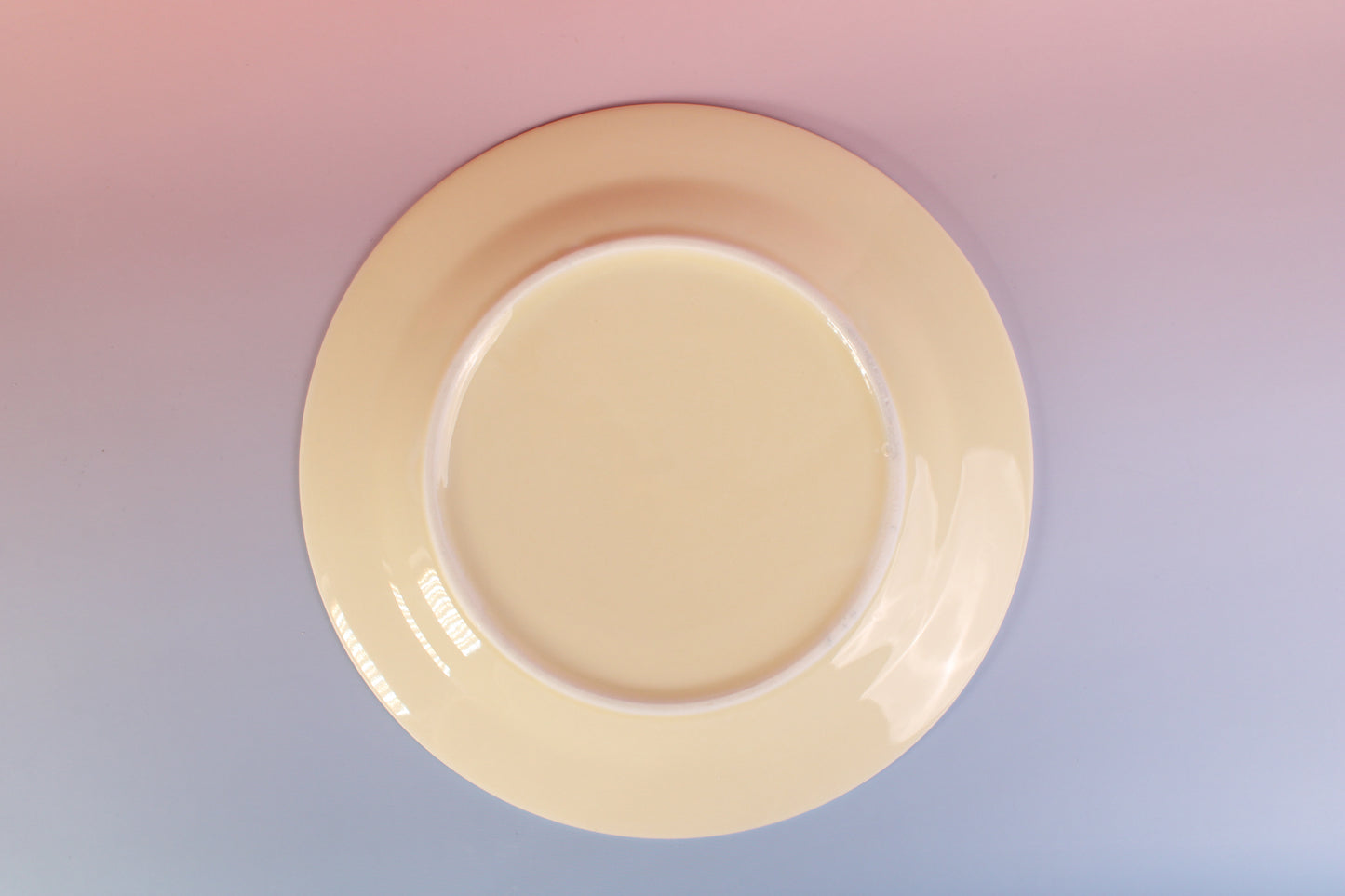 Kawaii Puppy Home Ceramic Dish – Warm Puppy & Christmas Tree Plate, Hand-Painted-Lovely Plates for home ritual meals – Dessert Plate -High Value Breakfast Plate